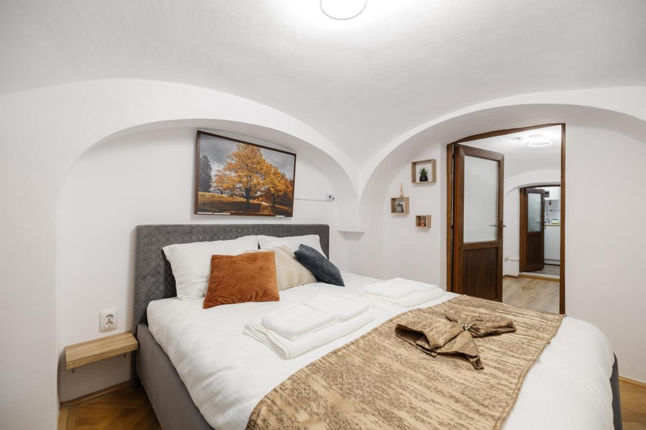 Downtown Cio Apartment Sibiu Bagian luar foto