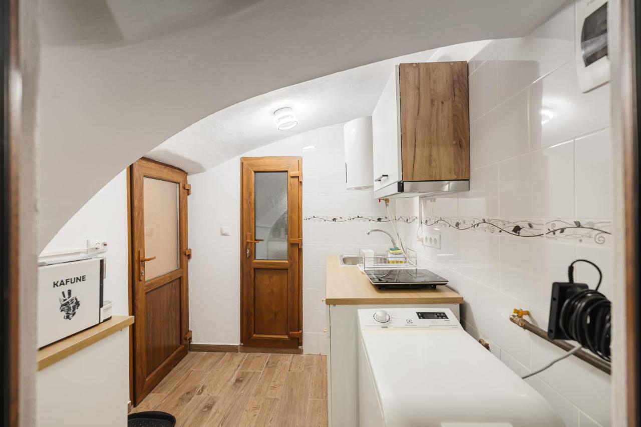 Downtown Cio Apartment Sibiu Bagian luar foto