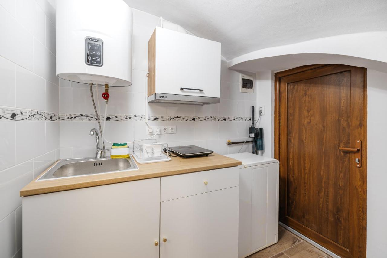 Downtown Cio Apartment Sibiu Bagian luar foto
